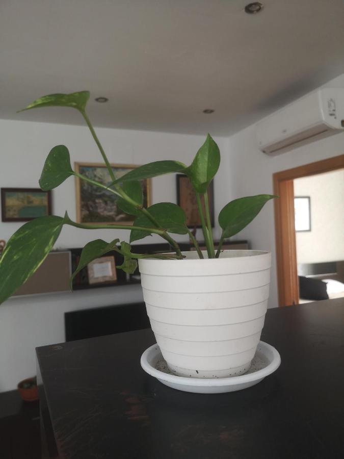 La Casita Del Arte Appartement Cádiz Buitenkant foto
